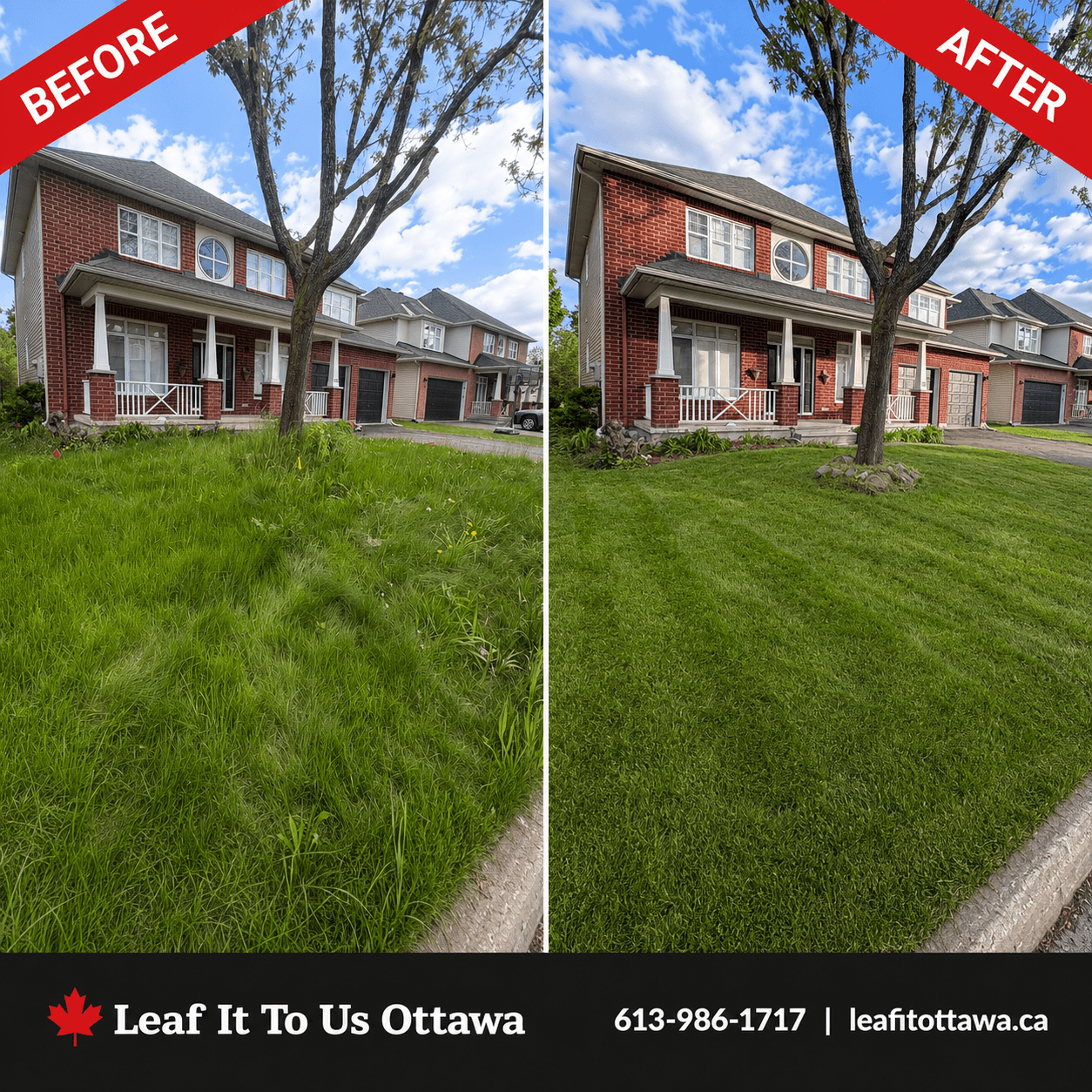 Before and after comparison of an overgrown lawn versus a neatly mowed, striped green lawn.
