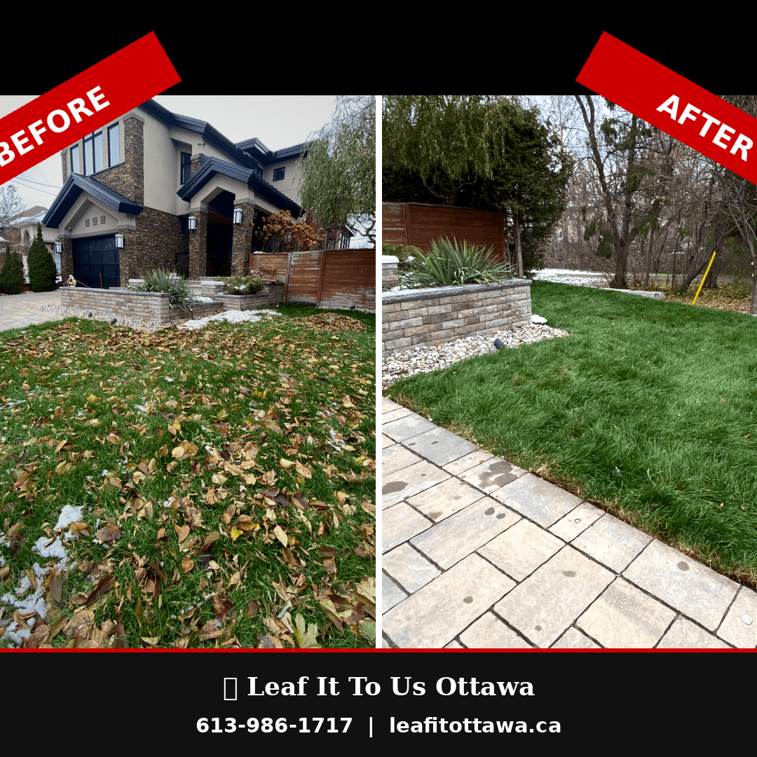 Before and after comparison of a leaf-covered lawn versus a clean, manicured green yard.